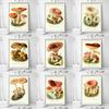 Vintage Mushroom Specimen Canvas Painting Antique Wall Art Herbal Pictures Science Posters and Prints Home Office Decor Cuadros