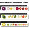 Food Storage Containers With Lids Avocado Saver Onion Lemon Tomato Keeper Reusable Fresh Box for Fridge Freezer Fruit Vegetable