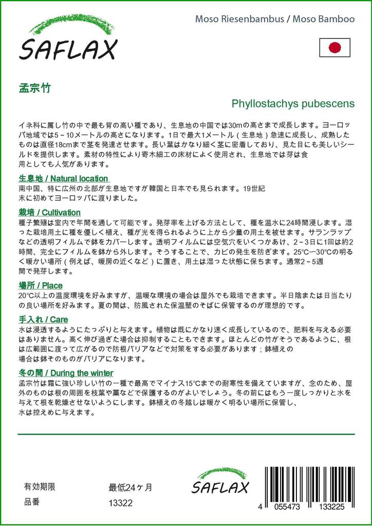 SAFLAX Мосо Бамбук - 20 семян - Phyllostachys pubescens