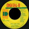 7-дюймовая пластинка SHABBA RANKS Hot Like Fire NONE DigitalB Ямайка Регги Ска Даб Б/у