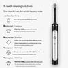 BAIR G201 Sonic Rechargeable Electric Toothbrush