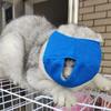 Colorful Cat Muzzle Mesh Cat Mouth Guard Muzzle New Anti Bite Muzzles  Kitten Bathing Bag