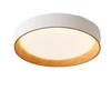 Nordic Wabi-Sabi Wood Grain LED Ceiling Lamp for Bedroom and Living Room