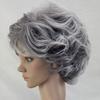 Short Wavy Curly Wigs with Bangs Natural Look High Temperature Silk Hair Wigs Long-Lasting Wear Middle-aged Women Style Fashion Fluffy Silver