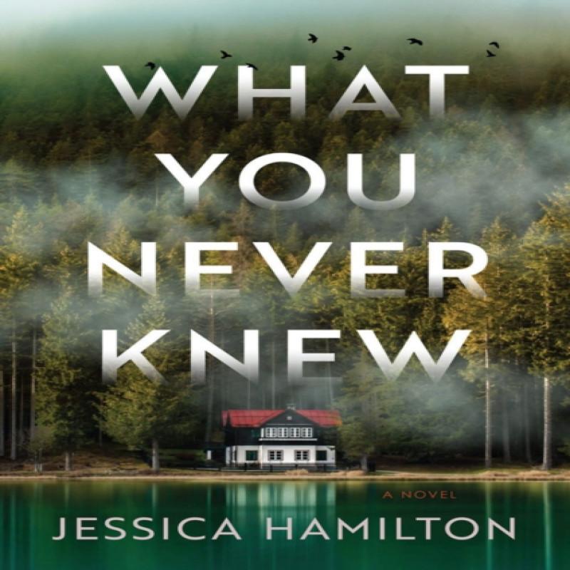 What You Never Knew by Jessica Hamilton Paperback Book 9781639103034