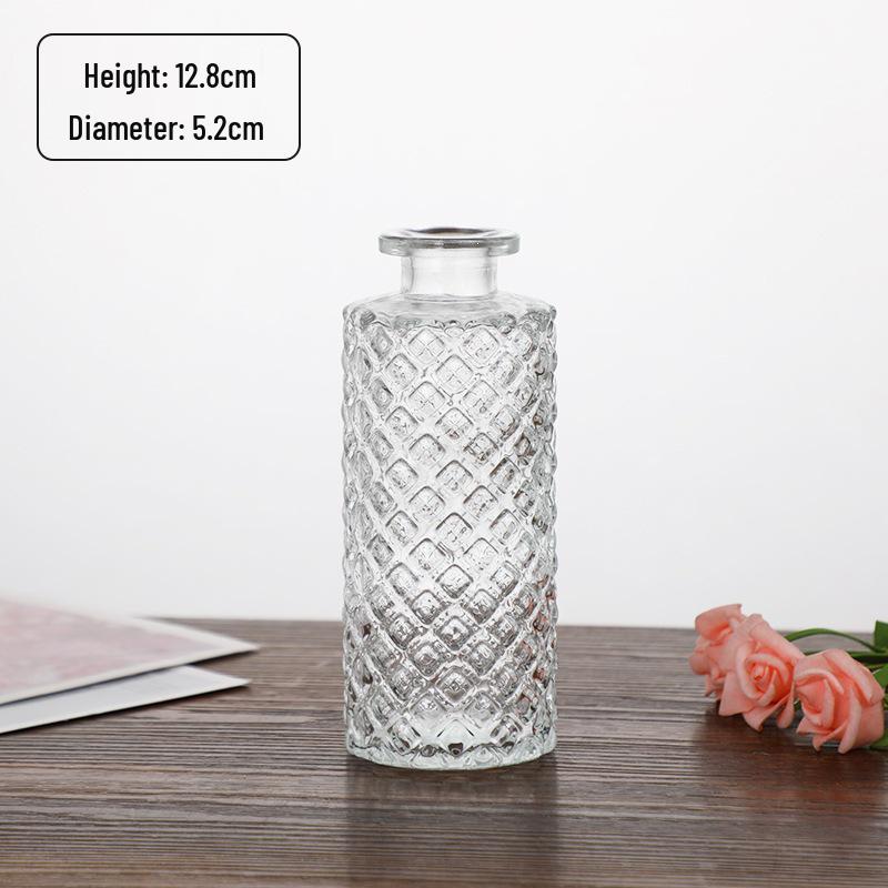Small French Retro Glass Hydroponic Vase for Home Decor