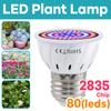 Светодиодная лампа для выращивания растений E27 Full Spectrum GU10 Hydroponic B22 Seed Cultaging Lamp MR16 Succulent E14 Growth Lighting 220V