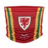 FA Wales Retro Snood