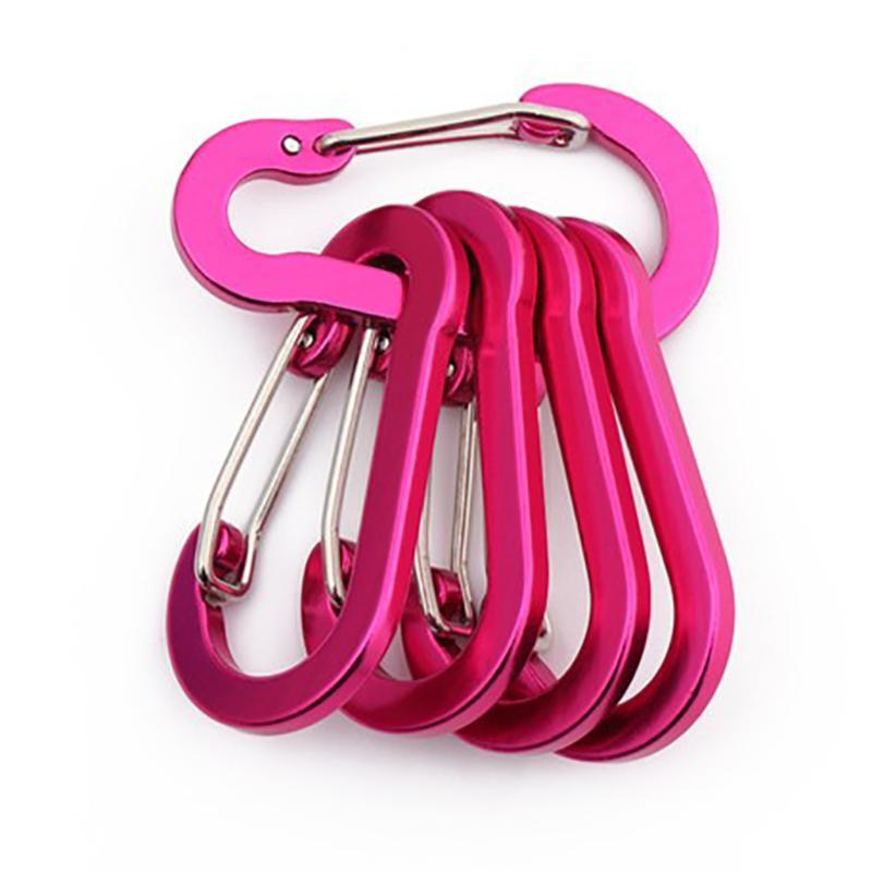 5 PCS Carabiner Clips Mini Aluminum Alloy Keychain Carabiner Clip D Rings for Outdoor Camping Hiking Fishing Backpacking