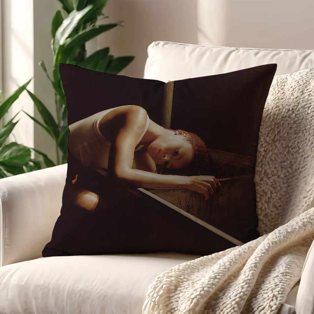 Singer RRavyn LLenae Birds Eye Cushion Cover For Pillow Printing Sofa Decoration Home Car Room Coffee Shop Nordic Simplicity