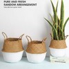 1 шт., корзина-органайзер для хранения, складная корзина для растений, цветочные горшки, плетеная корзина из ротанга