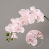 69cm Home Supply 9-Heads Simulation Orchid Real Touch Plants 3D Phalaenopsis Artificial Flower