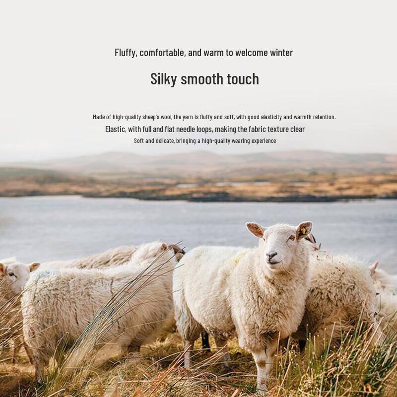 Hengyuanxiang Men's Round Neck Wool Sweater