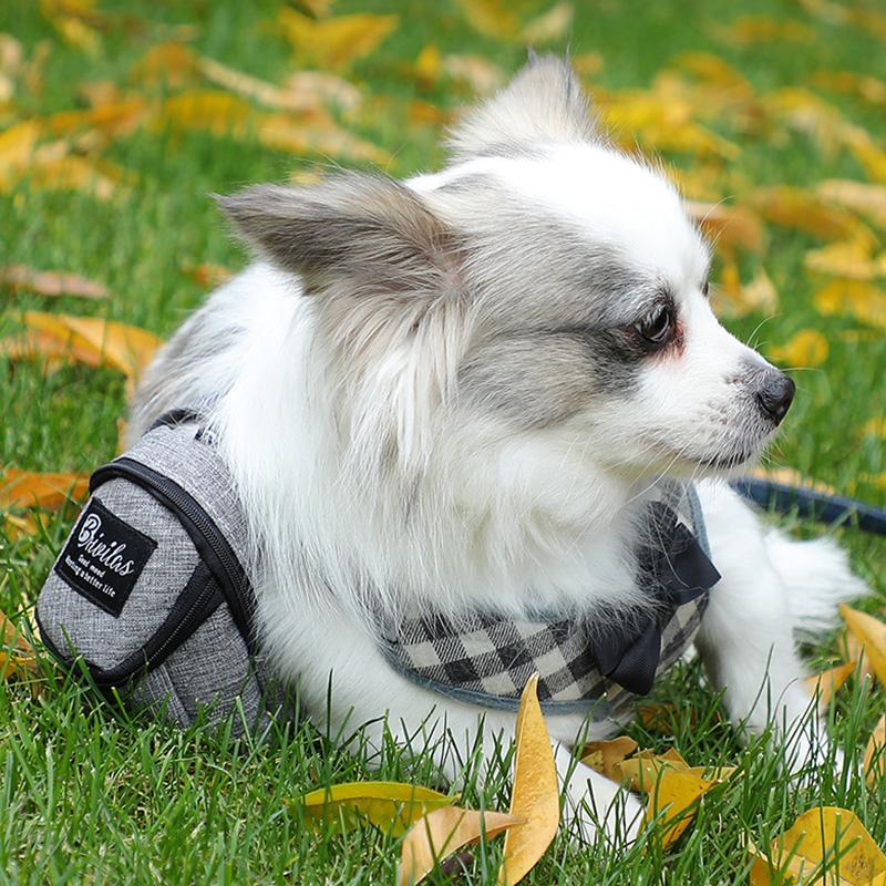 Многофункциональная сумка для дрессировки собак, портативная сумка для переноски домашних животных, сумка для путешествий на открытом воздухе, сумка для лакомств для щенков, сумка для закусок, аксессуары для собак