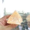 Geometric Shapes Maltose Fidget Squishes Slow Rising Sensory Toy Squishy Ice Ball  Office Home