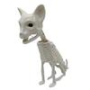 Halloween Animal Skeletons Dog Bat Frog Scorpion Spider Snake Rat Bone Skeletons for Halloween Party Haunted House Graveyard Scene Decoration
