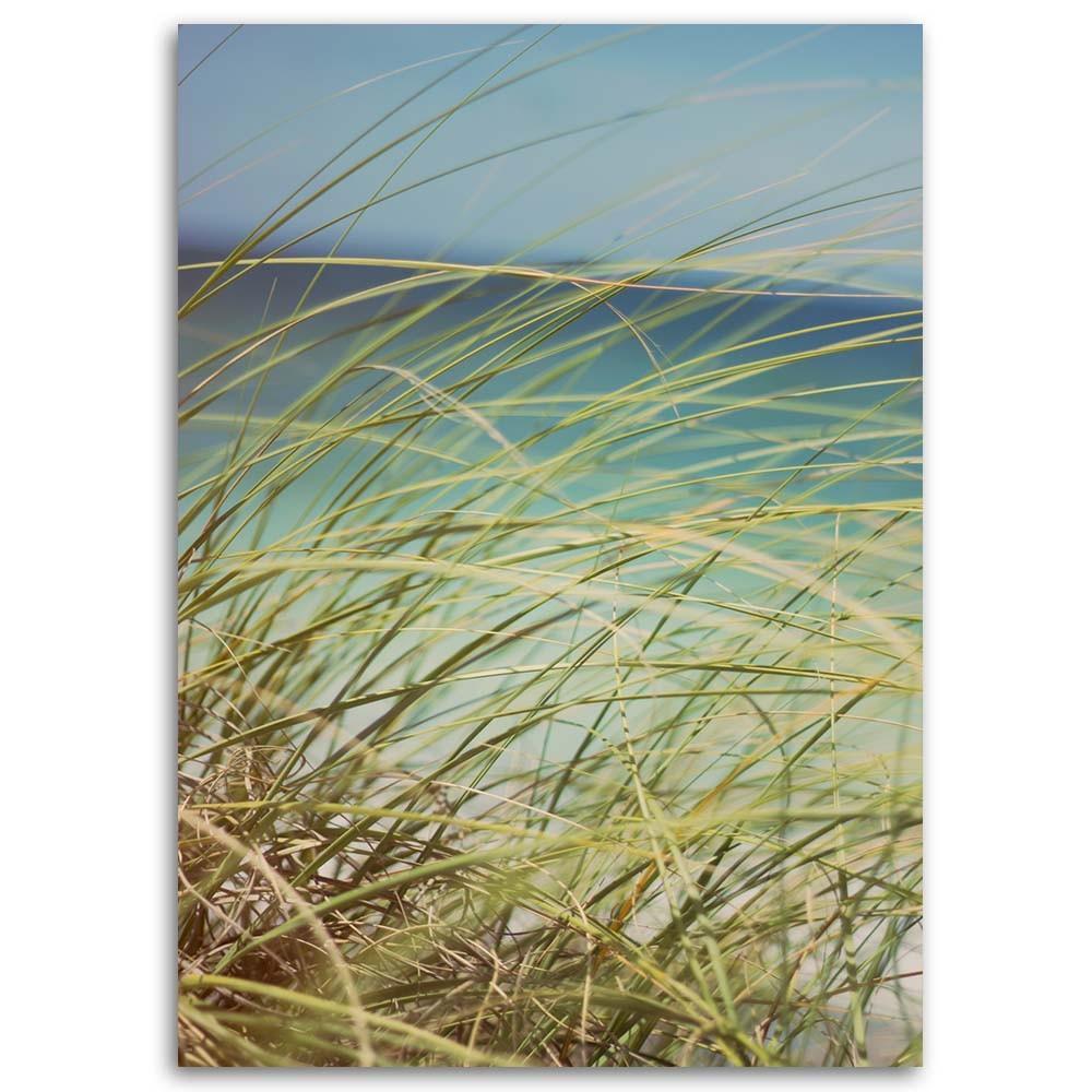 Canvas print, Grass on the dunes