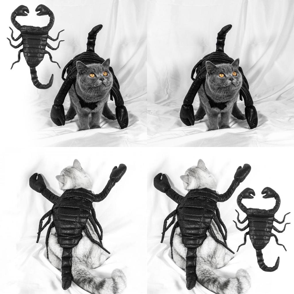 Unique Halloween Pet Costume Funny Scorpion King Outfit For Cats And Dogs Black Cloth