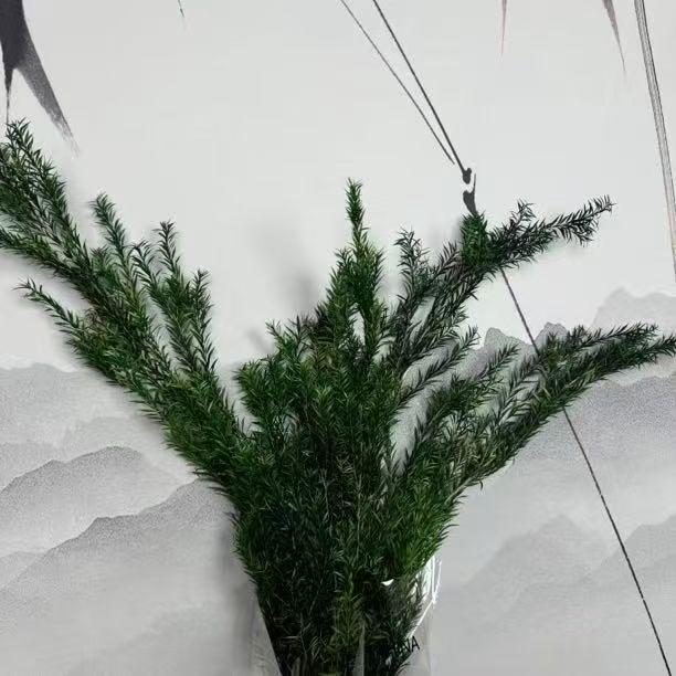 Preserved Rabbit Tail Grass Bouquet - DIY Dried Flower Decoration with Pampas Grass