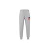 Флисовые брюки-джоггеры Club Fleece FN3095-063