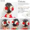 JZOON Hair Ornaments for Dried and Solar Popular Hair Accessories for Photo and Japanese Perfect for and Set In White and Y1704 Coming-of-Age