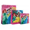 Disney Princess Eday Gift Bag