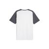 Puma Letter Color Block Design Casual Crew Neck Short Sleeve Football Shirt Men Tops White 772902-23