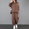 Sweatsuits Pants Sets Casual Print Spring Tracksuits Hooded Harem Baggy Jogger Sweatpants Suits Korean Outfits