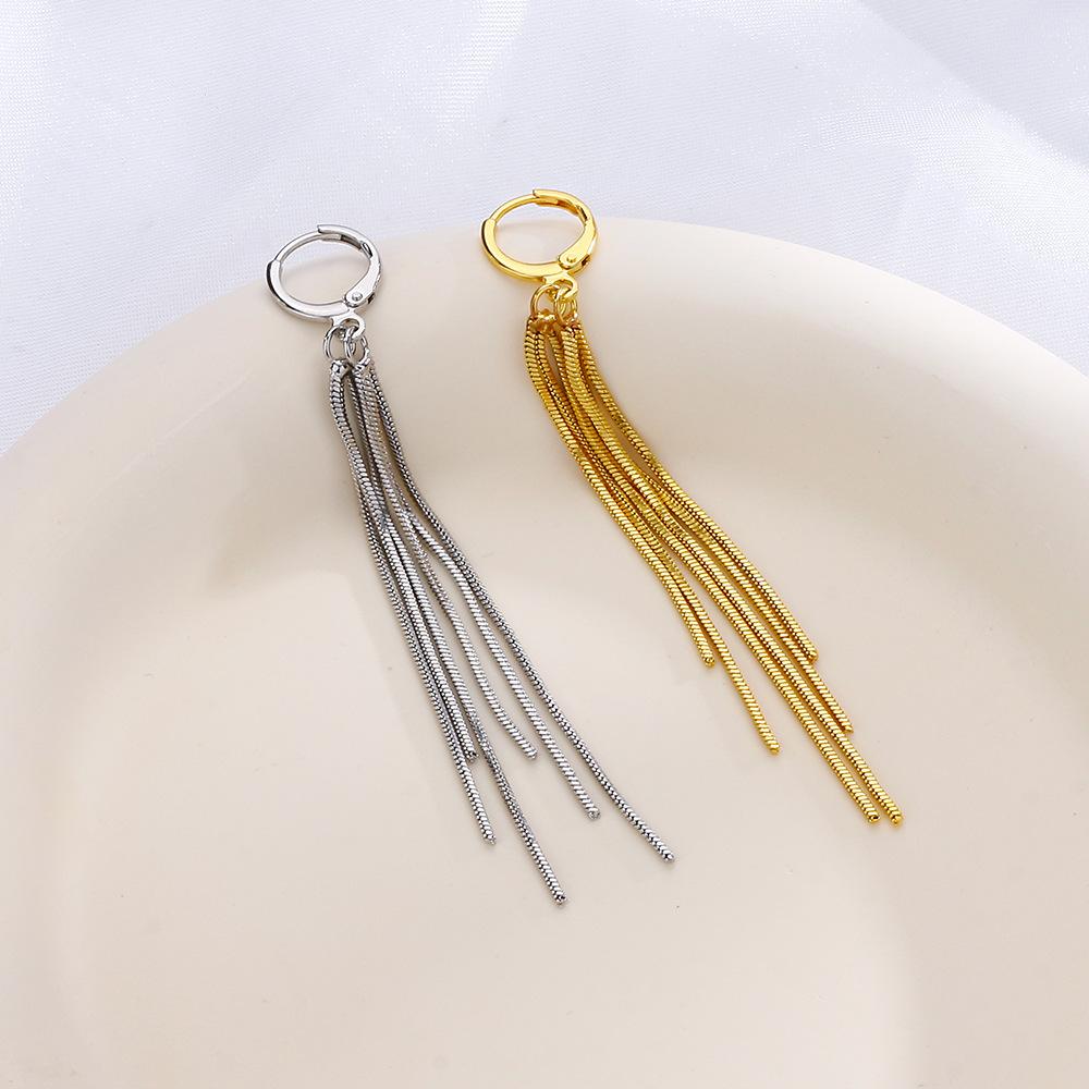 Корейский темперамент Легкая роскошь Интернет-знаменитость Длинная цепочка Серьги-кольца Темпераментные Простые Серьги с бахромой в виде змеиной кости Женские Подчеркивают лицо Тонкая линия уха