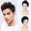 Fashion Men Short Wig Synthetic Black Layered Wigs Cosplay Daily Wigs Boy Natural Fake Hair Heat Resistant Fiber