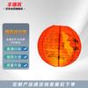 20-pack chinese style luminous lanterns with lamp beads & riddles