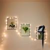 Solar LED String Light 32m LED Outdoor Waterproof Solar Light Garden Yard Viewing Light Family Christmas Party Decoration Copper Wire Light