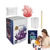 Grow a Crystal Science Experiments Toy Colored Crystals Crystal Making Kit Girls