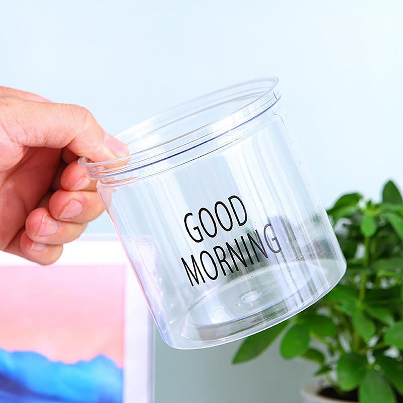 Mini Self Watering Flower Pot Fish Tank Transparent Plastic Plant Pots Self Watering Planter Pot Vase For Home Decoration