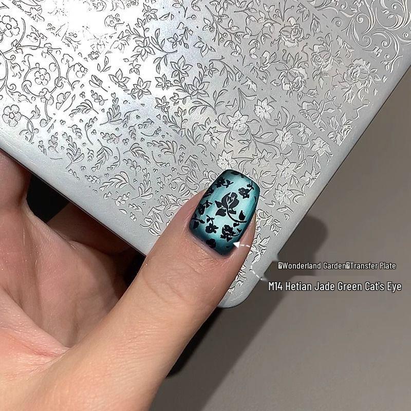 Набор 3D кристаллической пудры и жидкости для нейл-арта с инструментами из трансферной стальной пластины