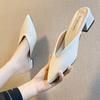 Baotou Half Slippers Women's Shoes Spring New Korean Version Fashion Temperament Thick Heel Slippers Thick Heel Pointed Sandals