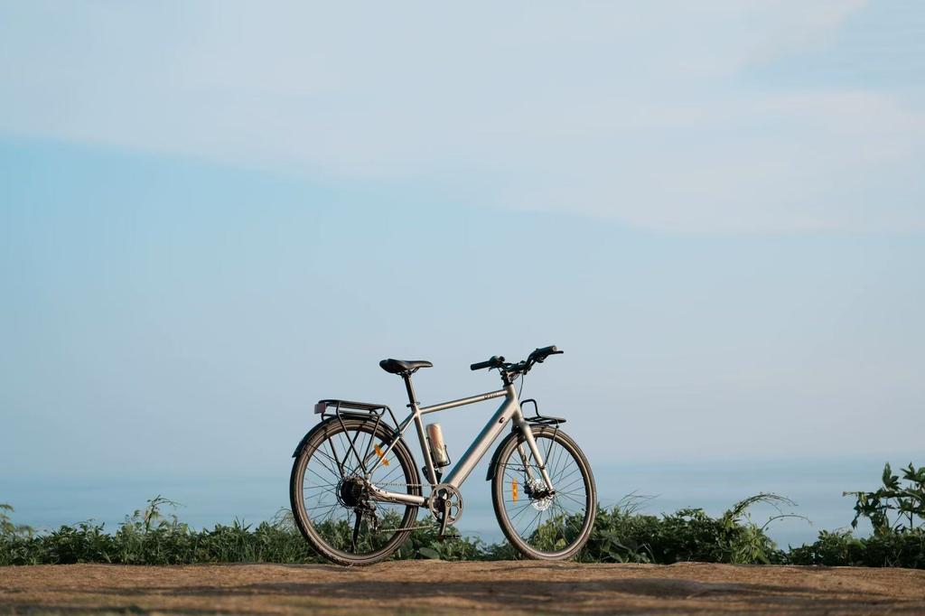 DYU Stroll 1 E-bike 250W Brushless Motor 36V9AH Battery Electric Bicycle 16Inch Tire City Electric Bike Riding assistance model, without throttle