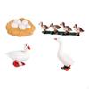 Educational Goose Life Cycle Discovery Kit for Young Explorers