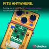 Olinthus Cicada Overdrive Effects Pedal [Includes Input and Output Breakout Cables] [Official Japanese Product]