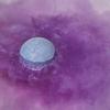 [Lush] Blackberry Bath Bomb 190g - Bath Soak