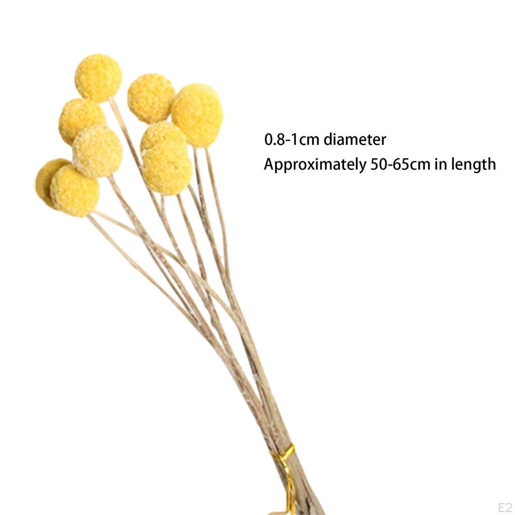 Dried Flower Assortment for Stylish Home Decor