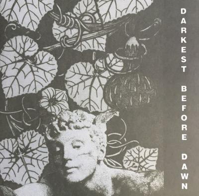 Виниловая пластинка DARK DAY - Darkest Before Dawn DE263 Dark Entries 2019 США Танцевальная и электронная музыка