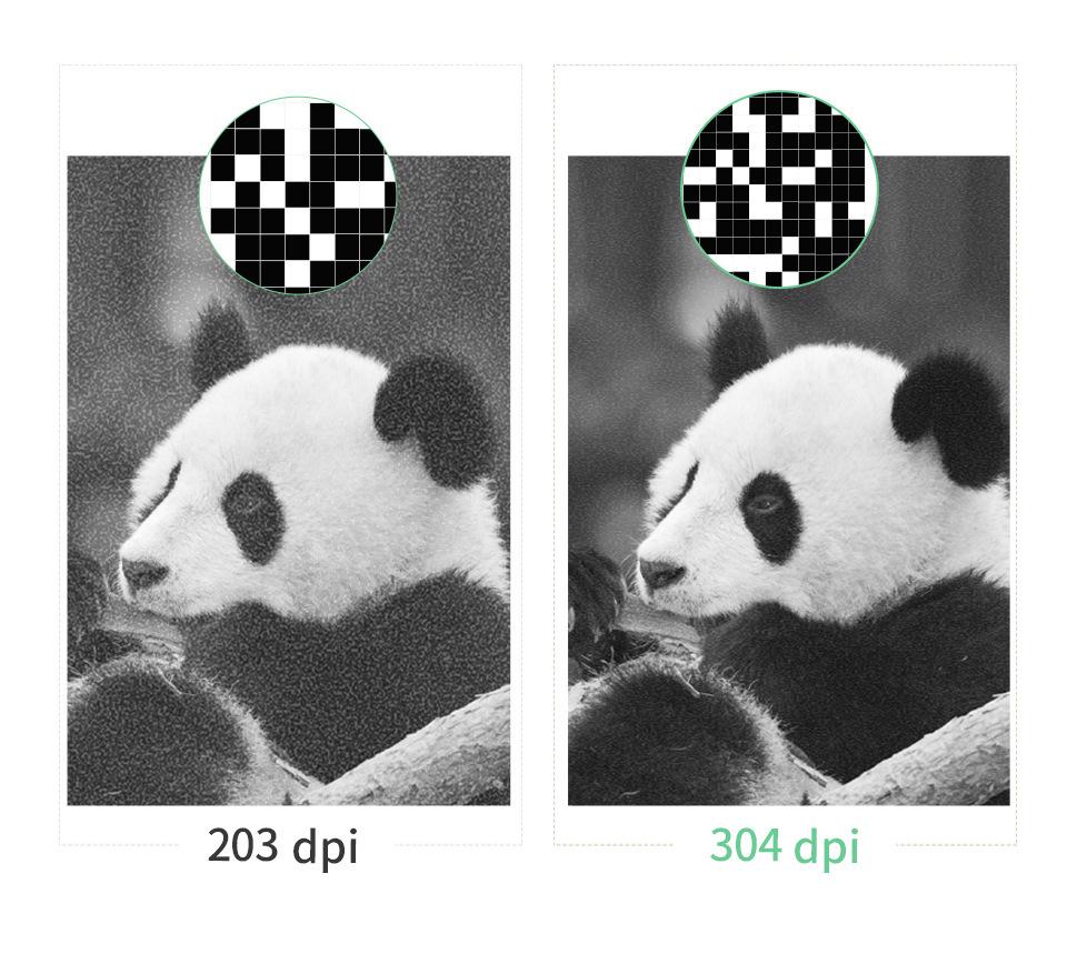 Peripage A6 Ai Li Xiong Мяу Мяу Мобильный Bluetooth Термальный Мини Фотопринтер.