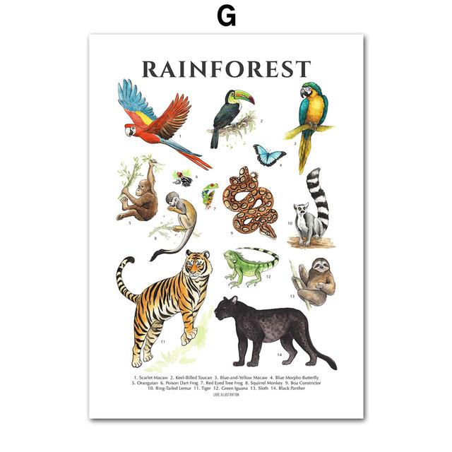 Насекомые, птицы, бабочки, сафари, образовательные плакаты с животными и принты, холст, украшение для детской комнаты, домашние картины, детская комната