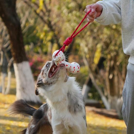 Interactive Pets Chew Toy Dumbbell Dog Toy Wear-resistant Rope Ball with Reflective Strips Dental Care Dog Toy