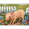 5D Diamond Embroidery Sale Pig Full Round Diamond Painting Animal Rhinestone Cross Stitch