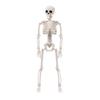 Halloween Skeleton Set Full Body Skeleton with Moveable Joints for Halloween Party Yard Garden Decoration