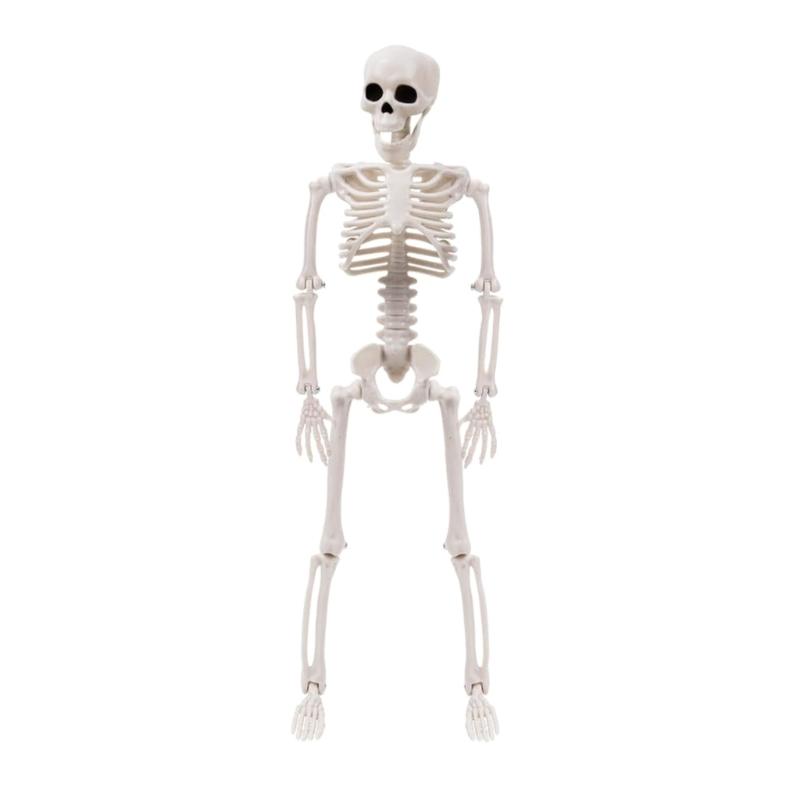 40CM Movable Joint Skeleton Prop – Halloween Hanging Decoration for Haunted House & Escape Room