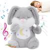JISON21 Music Box, Plush Toy for Sleeping, Birthday Gift for Girls and Boys, Animal-themed Sleeping Music Box, Children's Musical Toy with Melody,