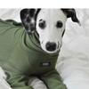 Fahison Whippet Italian Greyhound Clothing Роскошные хлопковые пижамы для собак Зимняя теплая водолазка Эластичная одежда для домашних животных